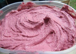Helado de Mora